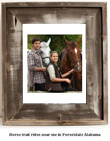 horse trail rides near me in Forestdale, Alabama